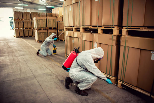Best Flea Control Services  in Bevil Oaks, TX