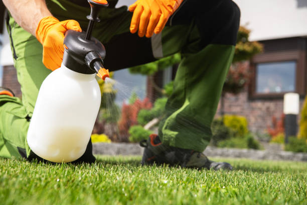 Best Wasp Removal Services  in Bevil Oaks, TX