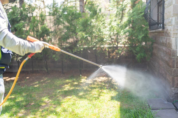 Best Pest Prevention Services  in Bevil Oaks, TX