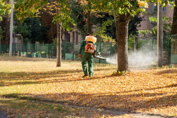 Best Emergency Pest Control  in Bevil Oaks, TX